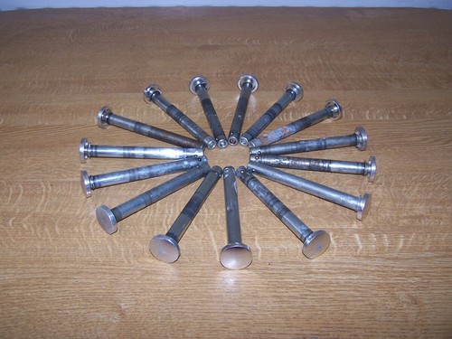Phil and teds rear wheel - phil,
