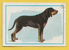 Dogs spanish trade trading - dogs,