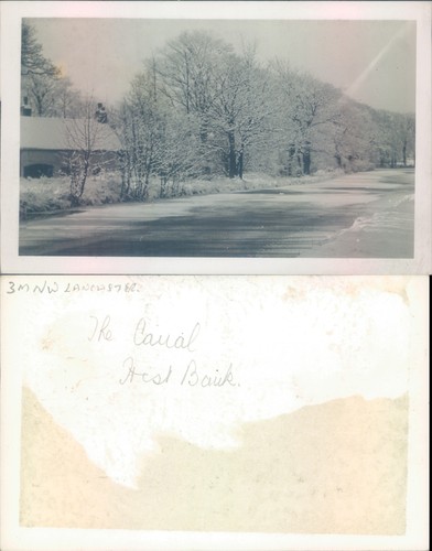 The canal hest bank - the,