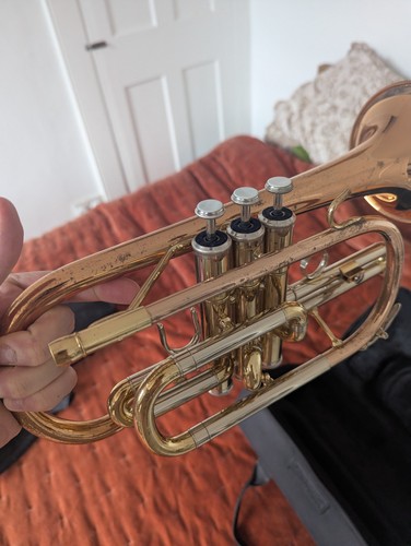 John packer 271 cornet - packer,
