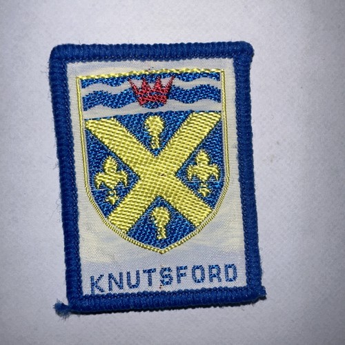 Boy scout badge - boy,