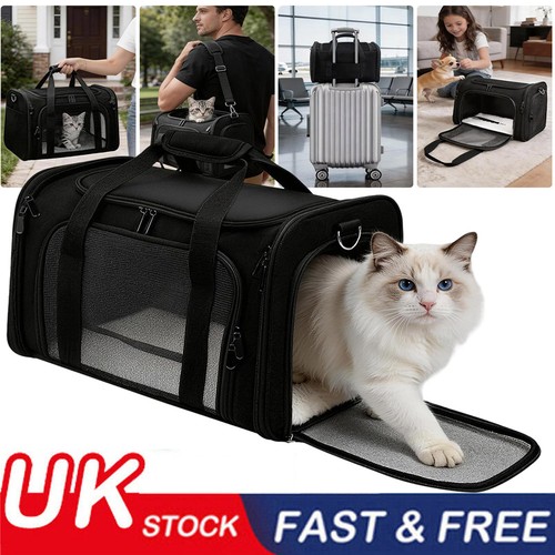 Black cat carrier bag - carrier, large