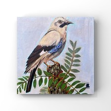 ‘The Jay’ Fine Art