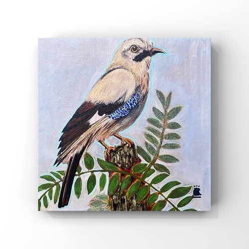 The jay fine - jay’, art