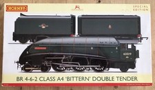 Hornby A4 60019 Bittern Double
