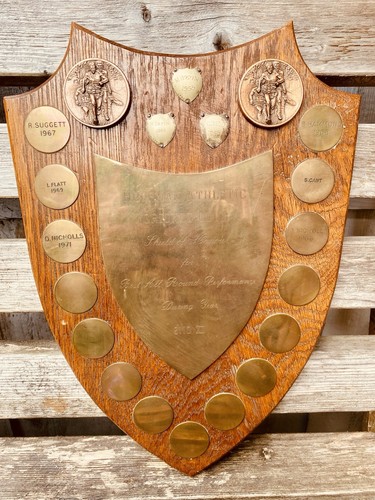 Big trophy shield 15 - big,