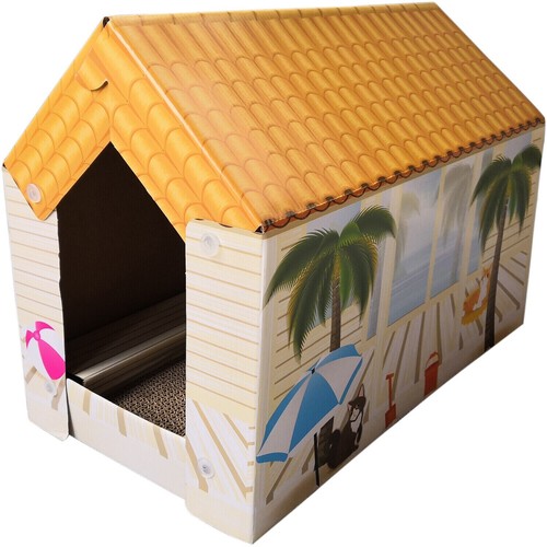 Cat pet scratching - pet,