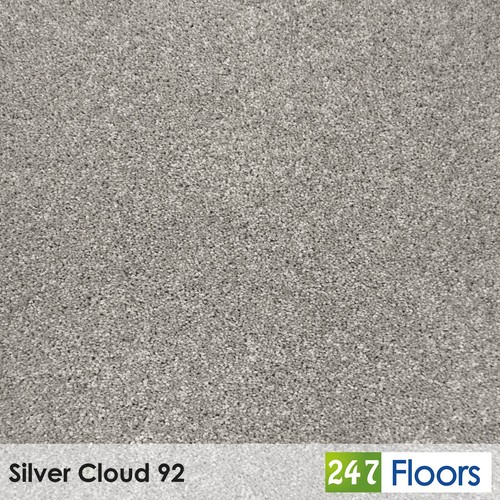 Silver cloud centaurus - silver,