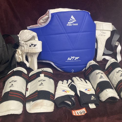 Taekwondo sparring kit - taekwondo,