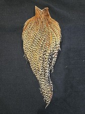 Cree Barred Ginger Rooster