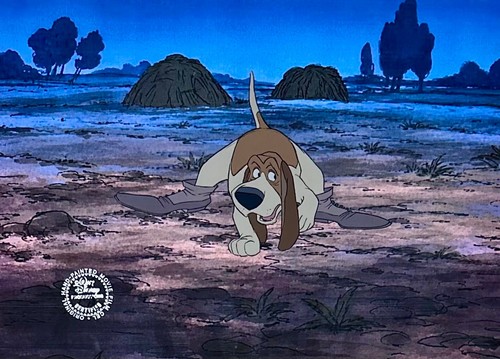 1970 walt disney the - disney,