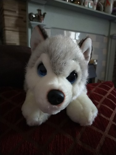 Keel toys cuddle - puppies, husky