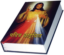 Hindi Bible - Pavithra Bible