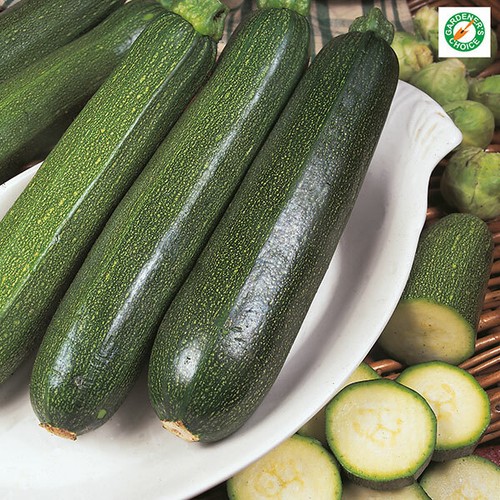 Courgette green bush plug - x4, 'green