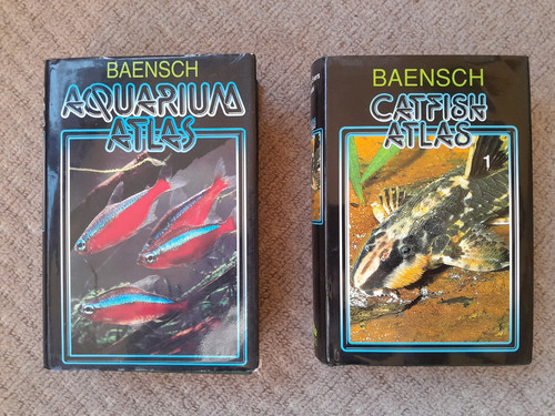 Baensch mergus catfish - baensch,