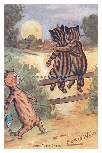 Rp09475 louis wain cats - -,