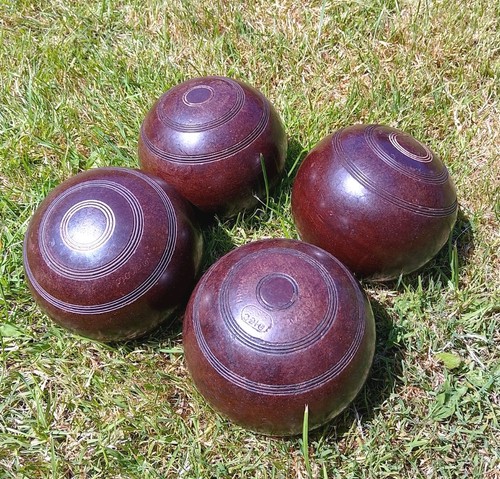 Thomas taylor brown size - thomas,