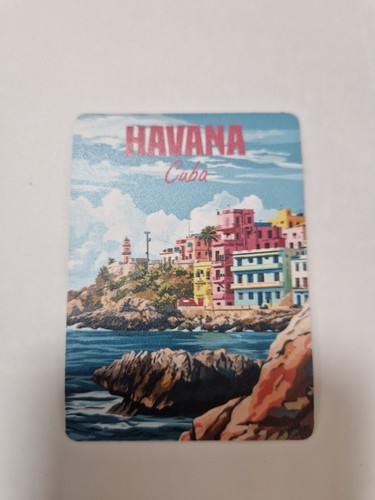 Souvenir fridge magnet - fridge,