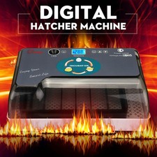 Digital 12 Egg Incubator