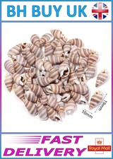 40g AQUARIUM SNAIL SHELLS