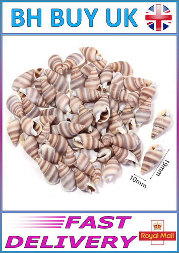 40g aquarium snail shells - 40g,