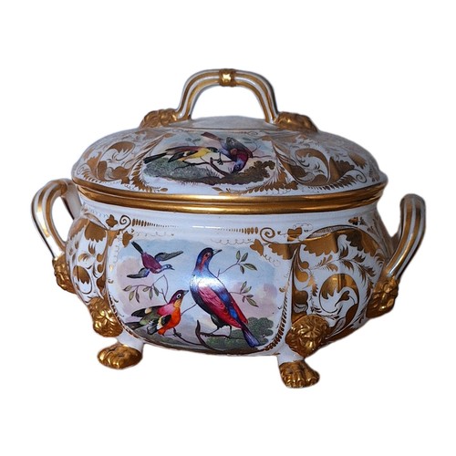 Derby porcelain richard dodson - porcelain,