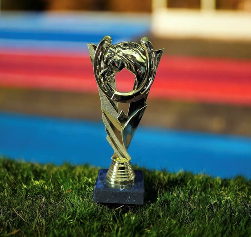 Gold equestrian trophy award - equestrian,