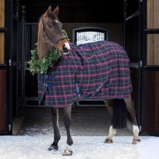 Shires Tempest Original 100