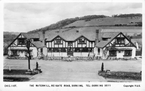 Dorking surrey the - surrey,