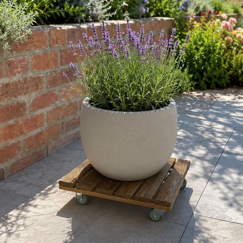 Plant pot caddy mover - pot,