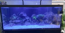 Large Red Sea tank with Stand