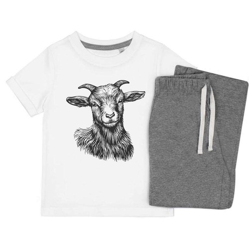 Baby goat portrait kids - 'baby, portrait'