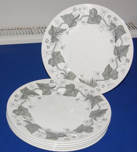 Wedgwood set napoleon ivy - set,