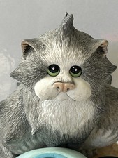 Comic curious cats - &,