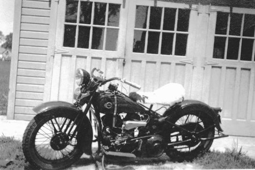 The harley davidson - the, harley-davidson