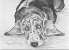 Delightful Basset Hound print