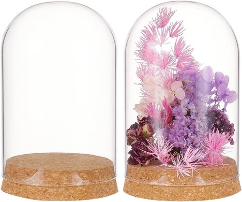 Set glass display dome with - 2,