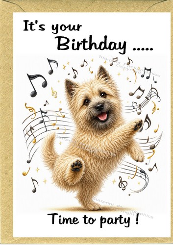 Cairn terrier dog birthday - cairn,