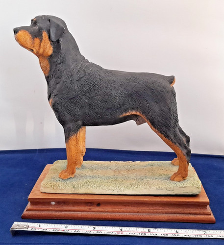 Border fine arts dog - arts,