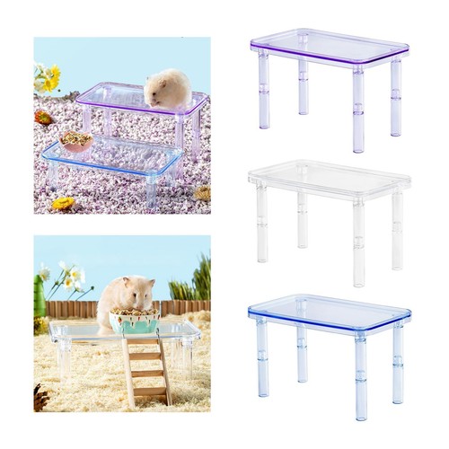 Small animals hamster - hamster, shelf