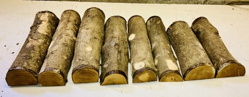 Half logs 8pcs lot - half, holly