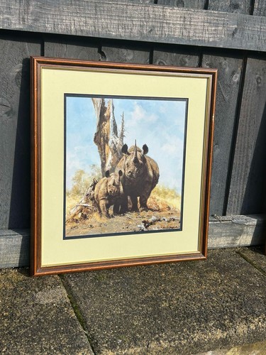 David shepherd rhino - david,