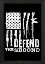 Defend The 2nd Amendment P
