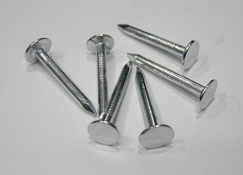 Galvanised clout nail roofing - galvanised,