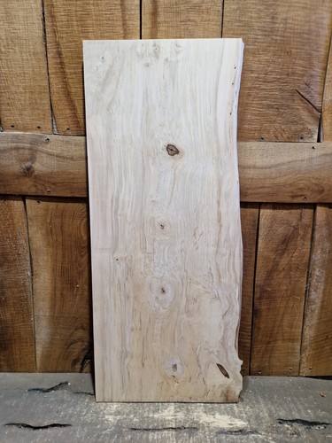 Live edge hornbeam - live,