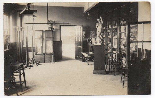 Museum glass cabinets - museum,