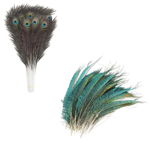 20x peacock tail feathers - peacock,