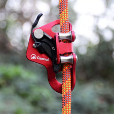 Rock Tree Climbing Chest