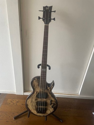 Esp 250be bass guitar - ma-250be, ash