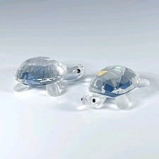Boxed Swarovski Tortoise Baby